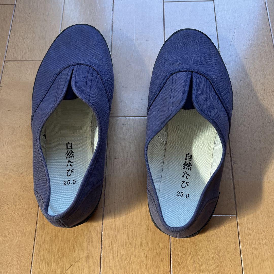 自然たび 介護用シューズ 25.0 スリッポンタイプ 室外用