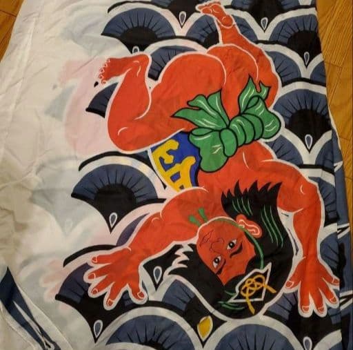 鯉のぼり 5mセット