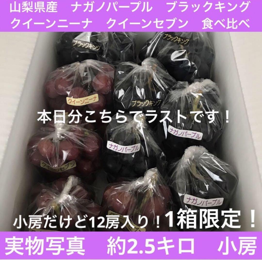 E早い者勝ち！　山梨県産ブドウ　4種食べ比べ　約2.5キロ　小房