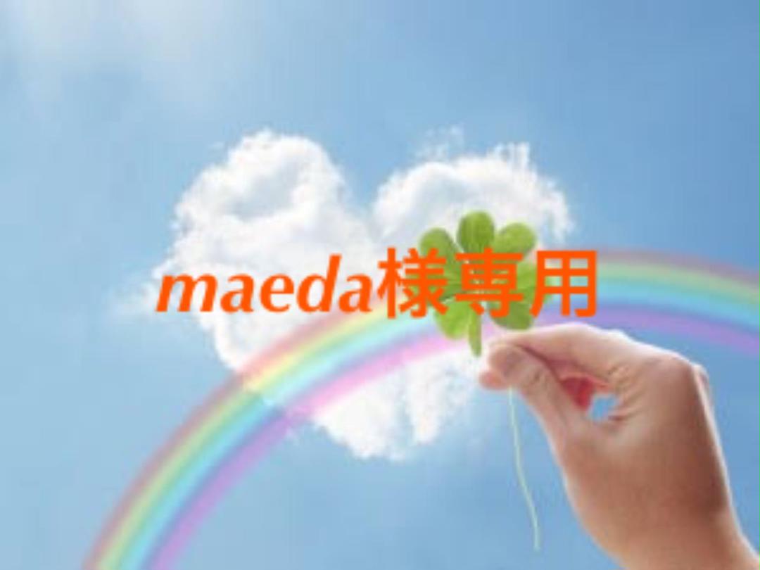 maeda様専用