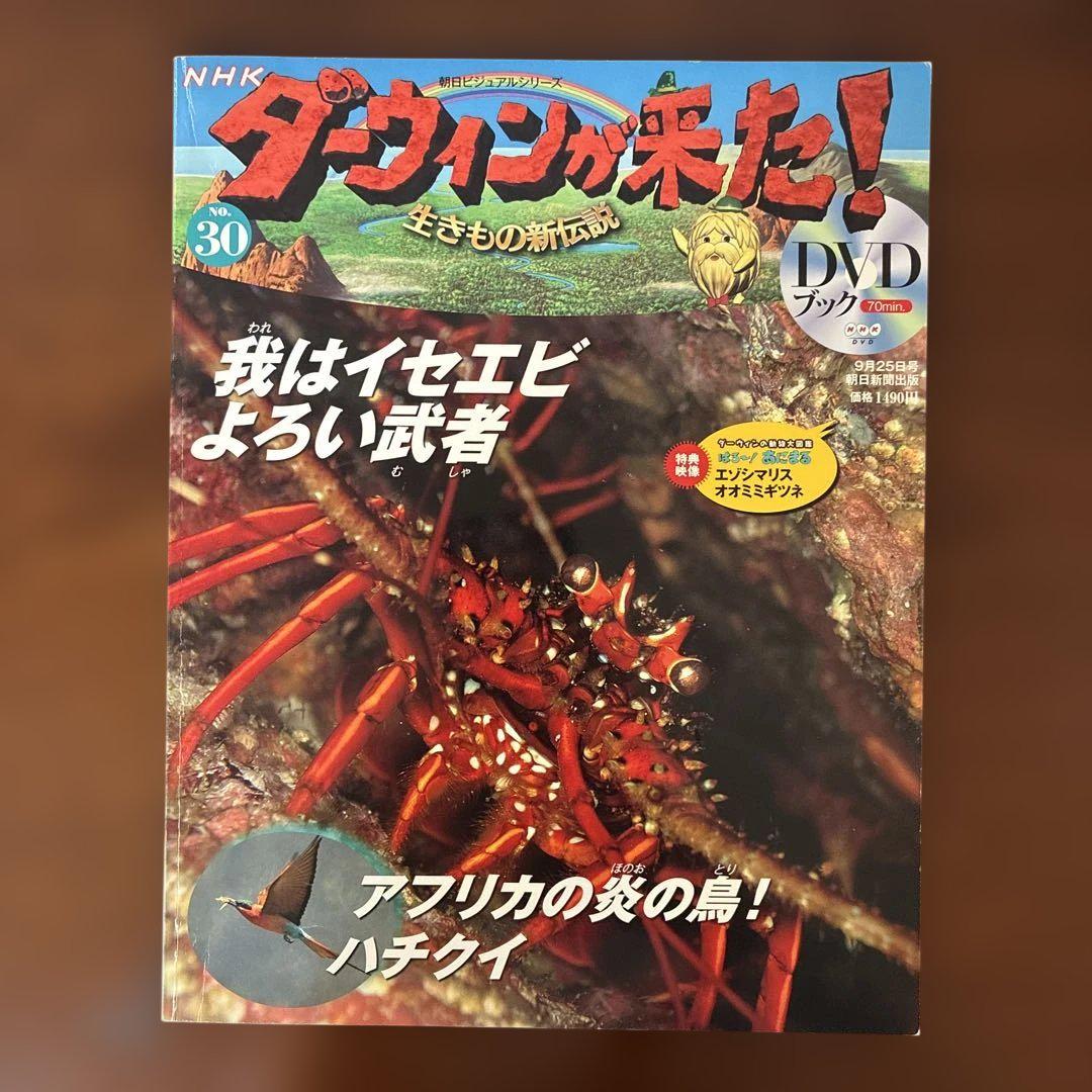 ダーウィンが来た！ DVDブック 30号 イセエビ ハチクイ - メルカリ