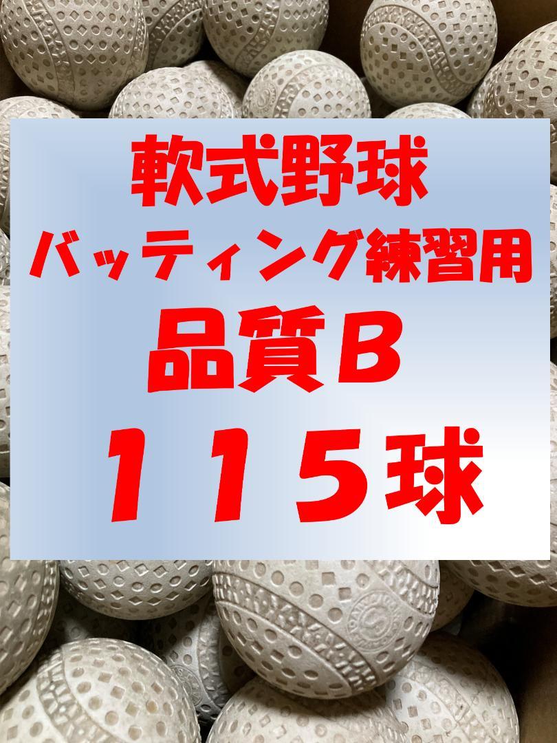 練習の効率アップに 115球B 軟式野球 ボール
