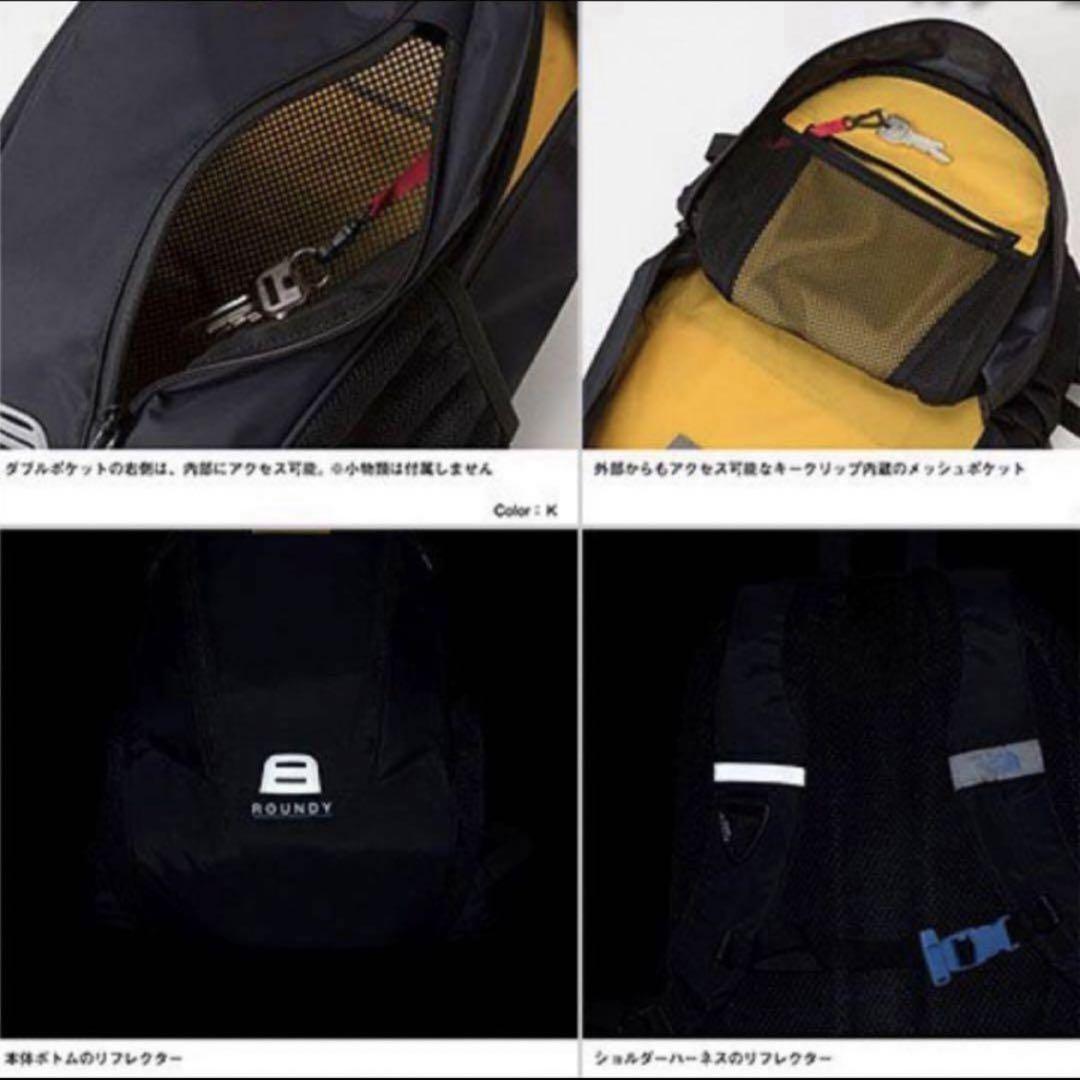 THE NORTH FACE ROUNDY リュック 22L 新品未使用