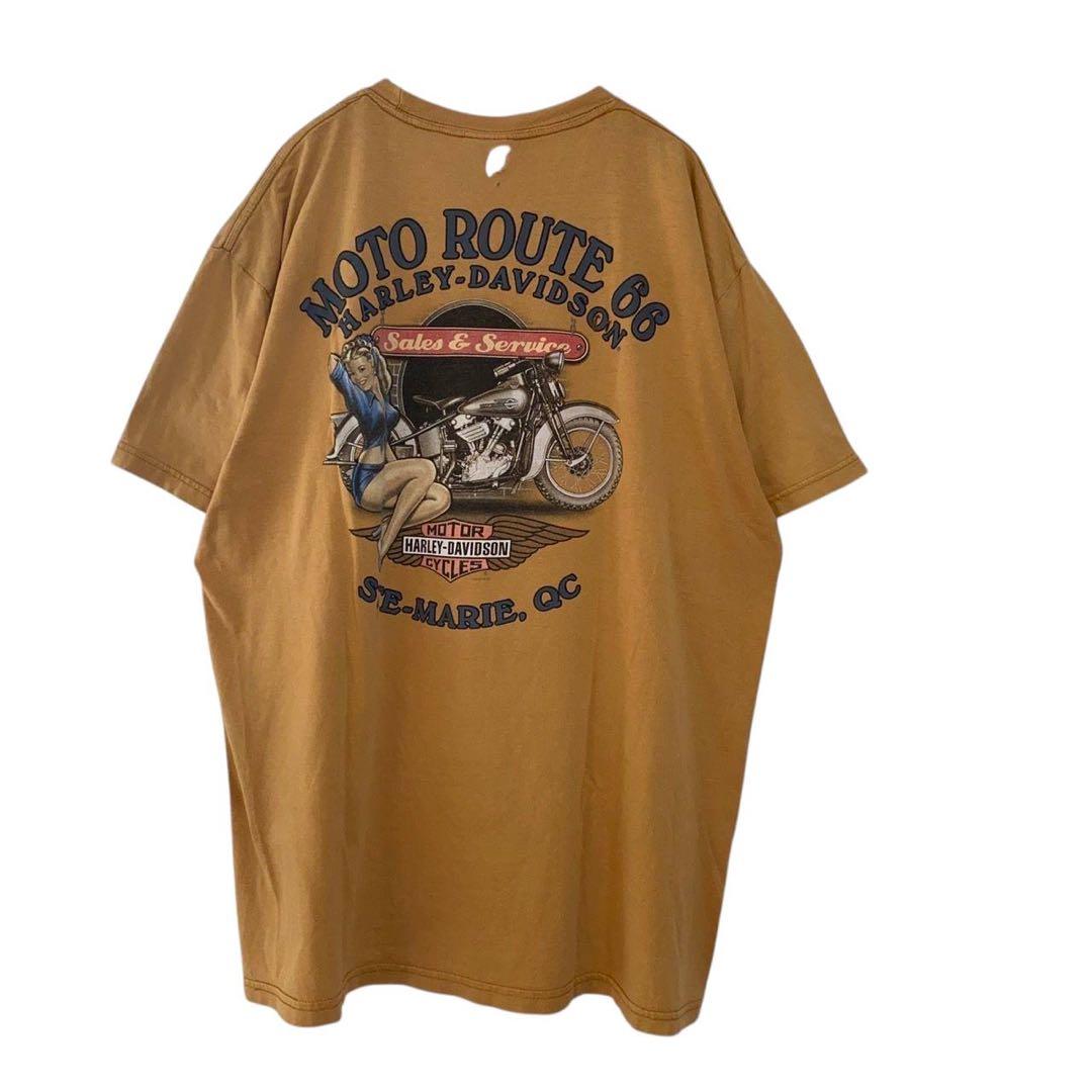 Harley Davidson Tシャツ 2010年 バイカー アメリカン 古着 00s HARLEY DAVIDSON ハーレーダビッドソン Hanes ヘインズ ビーフィー