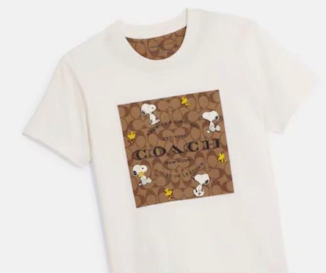 新品 未使用 COACH コーチ  シグネチャー Ꭲシャツ ホワイト　白　　M