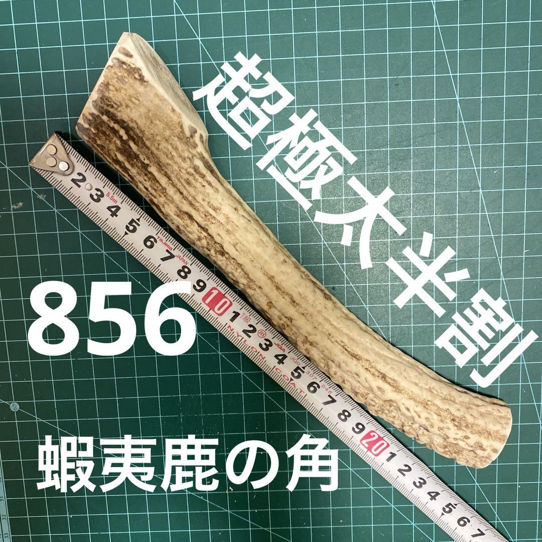 蝦夷鹿 角 おもちゃ 鹿の角 鹿角 犬用品 鹿ツノ 中型 大型 犬