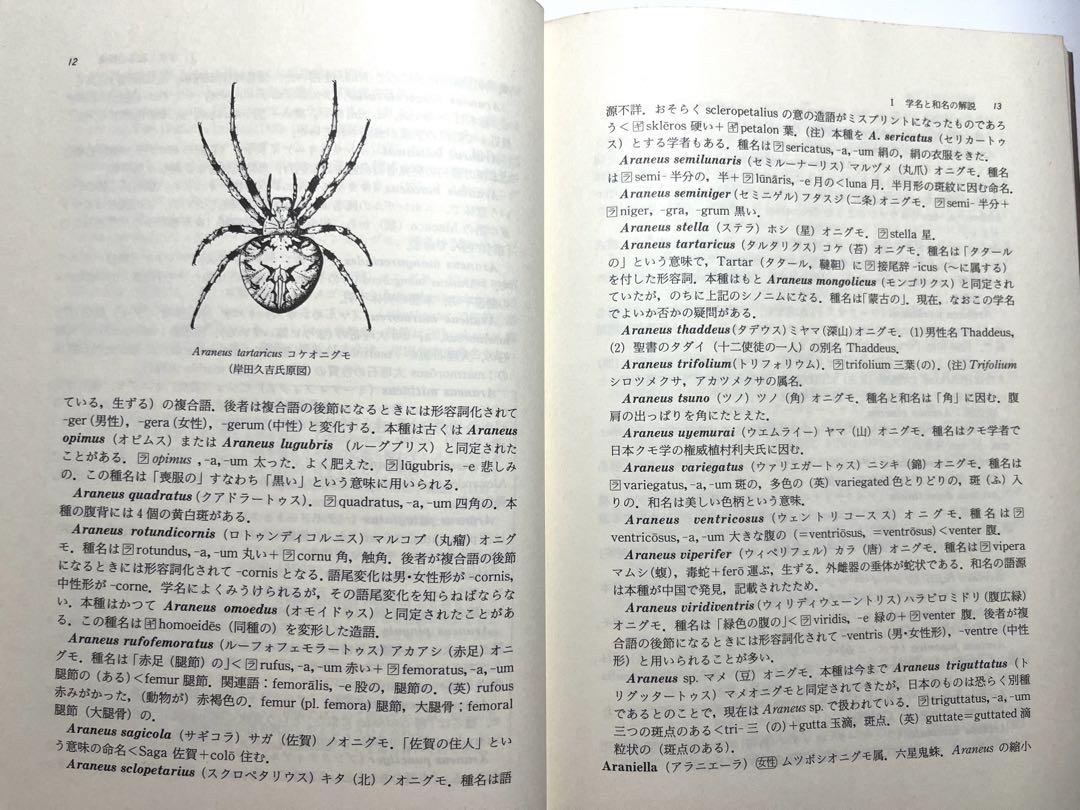 クモの学名と和名➖その語源と解説➖