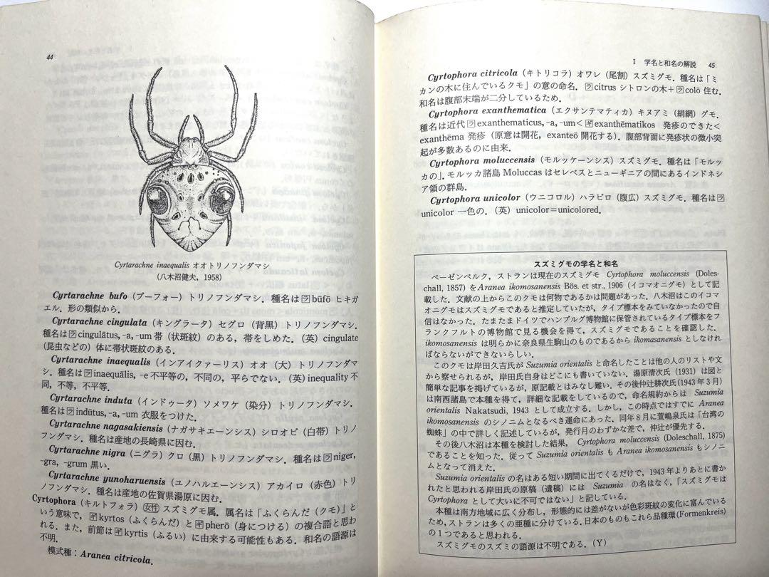 クモの学名と和名➖その語源と解説➖