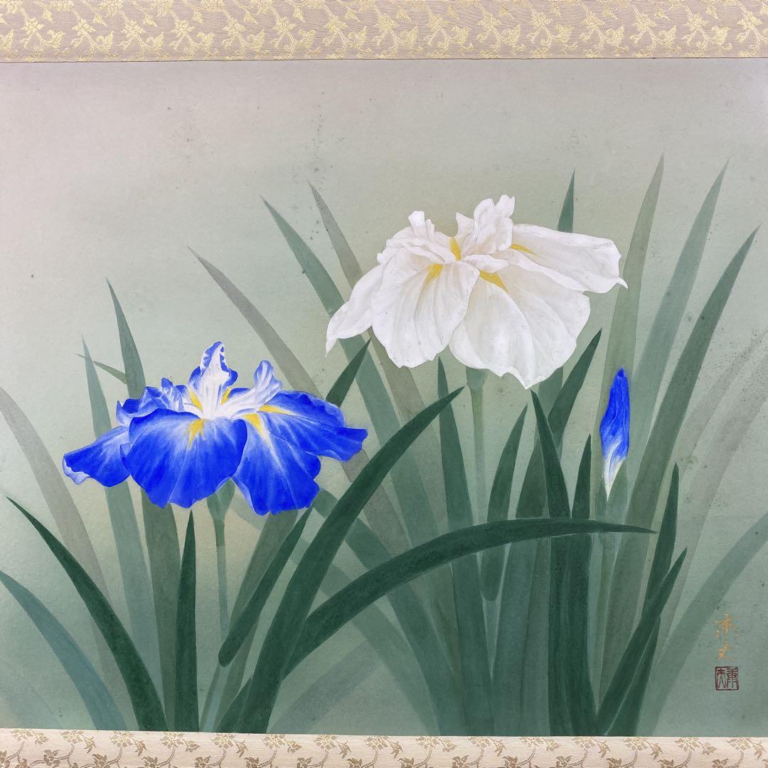 美品 掛け軸 鈴木康夫作 菖蒲図 共箱 太巻き付 夏掛け