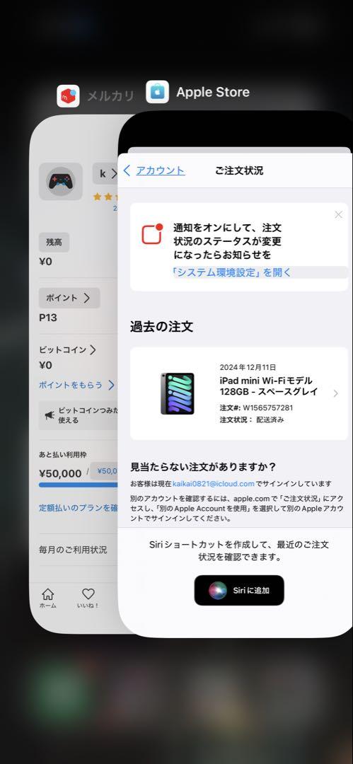 iPad mini