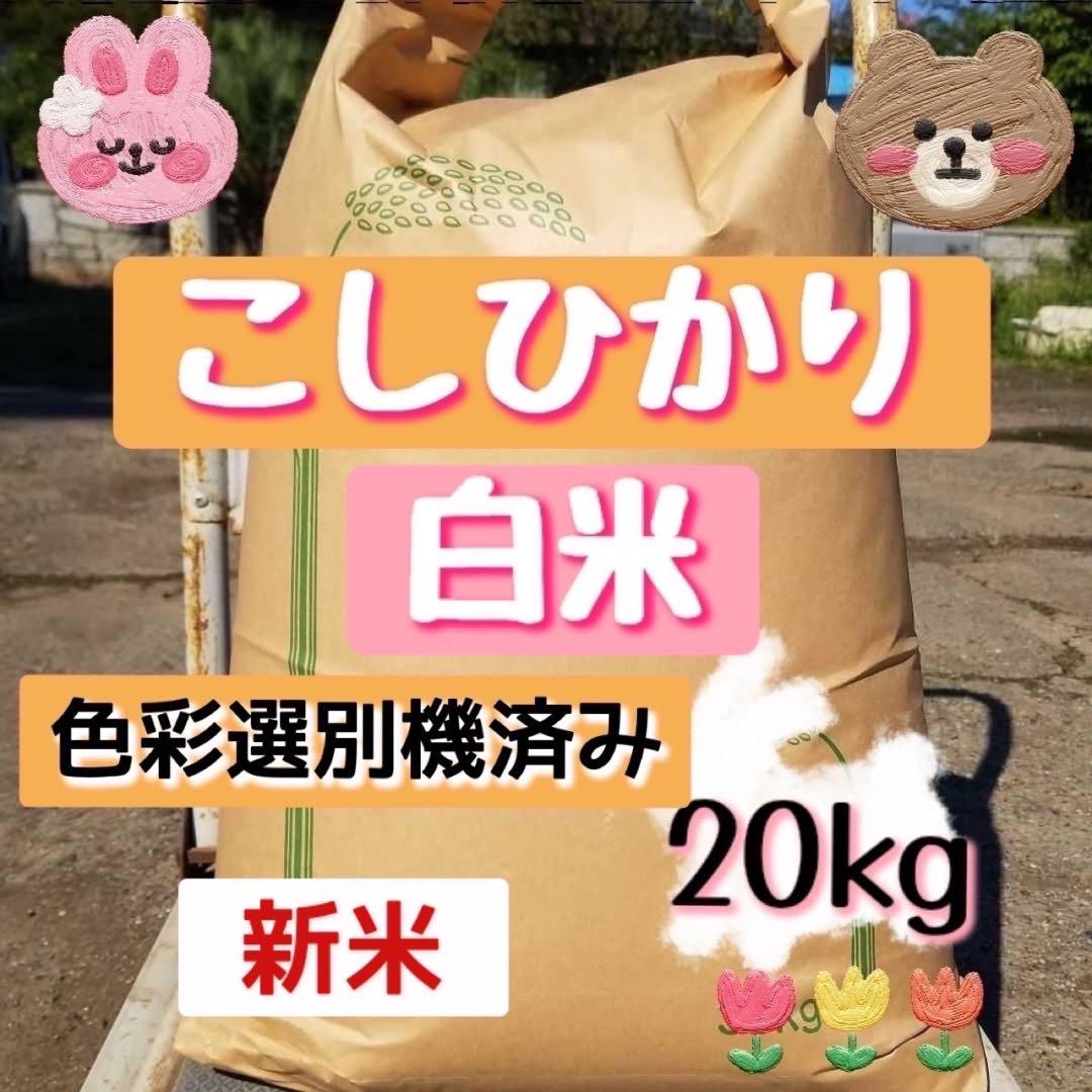 お米20kg◆令和6年産コシヒカリ◆白米20kg◆減農薬◆お買い得◆20キロ