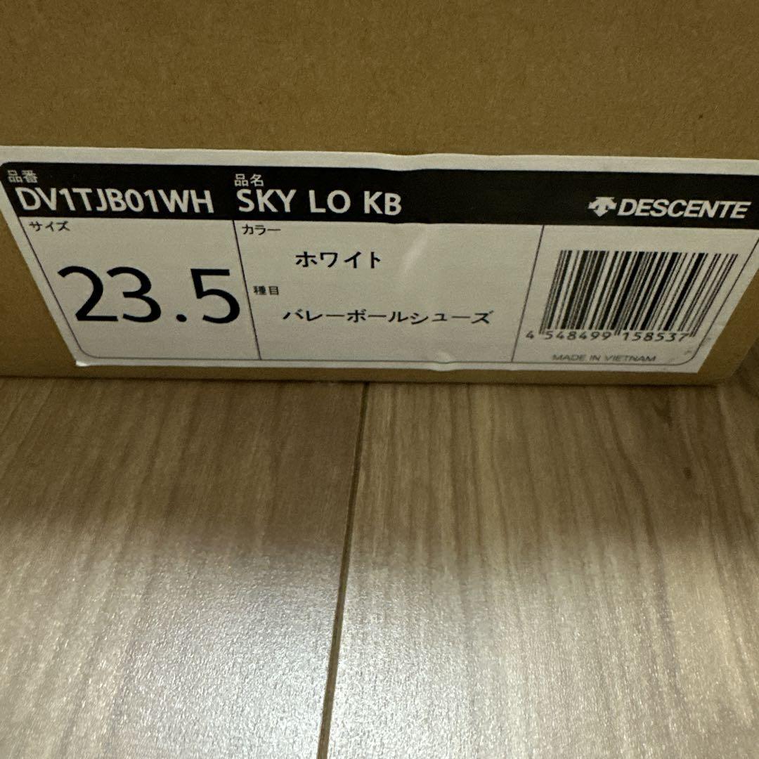 デサント　バレーボールシューズ SKY LO KB DV1TJB01WH