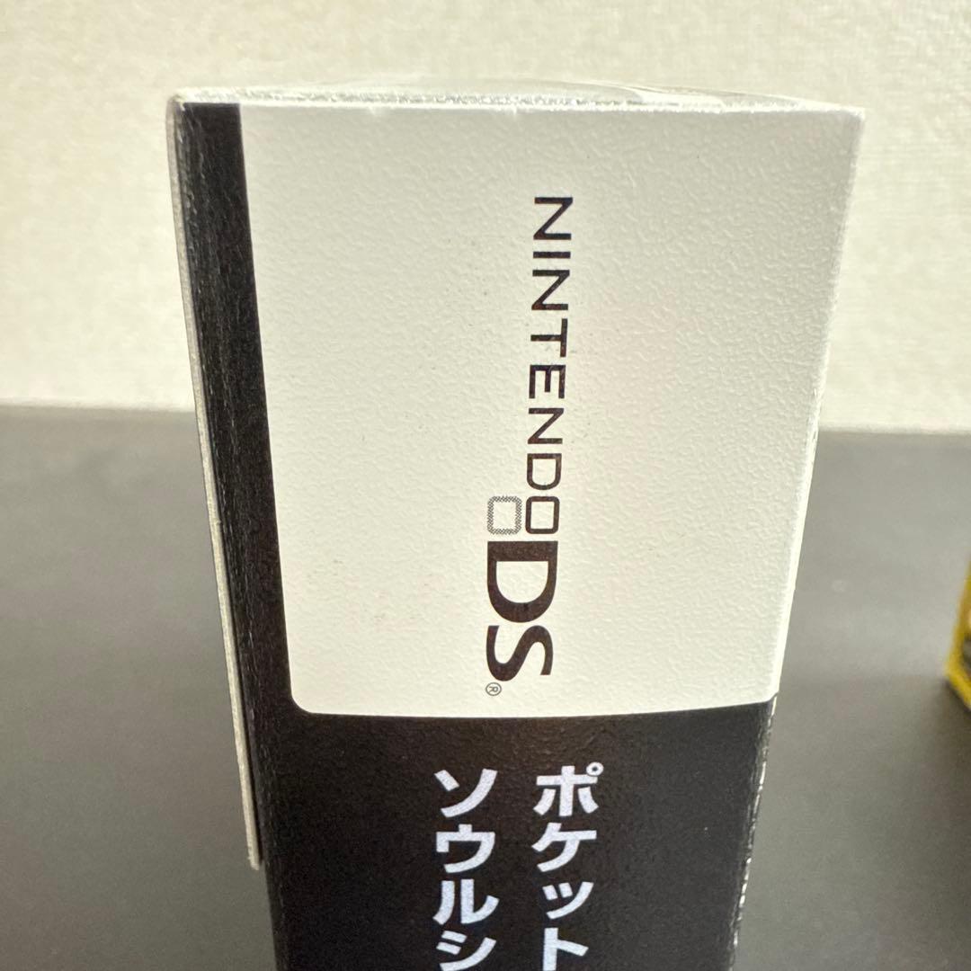 ポケウォーカー付きNintendo DS