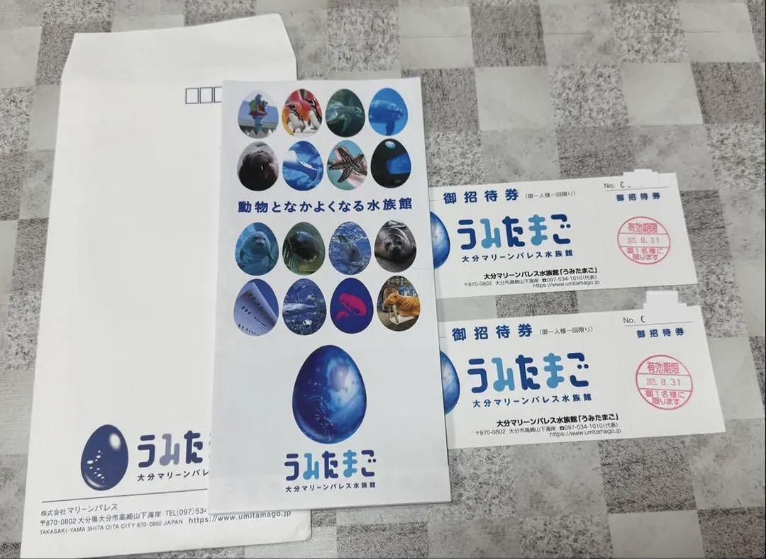 うみたまご 招待券 2枚セット
