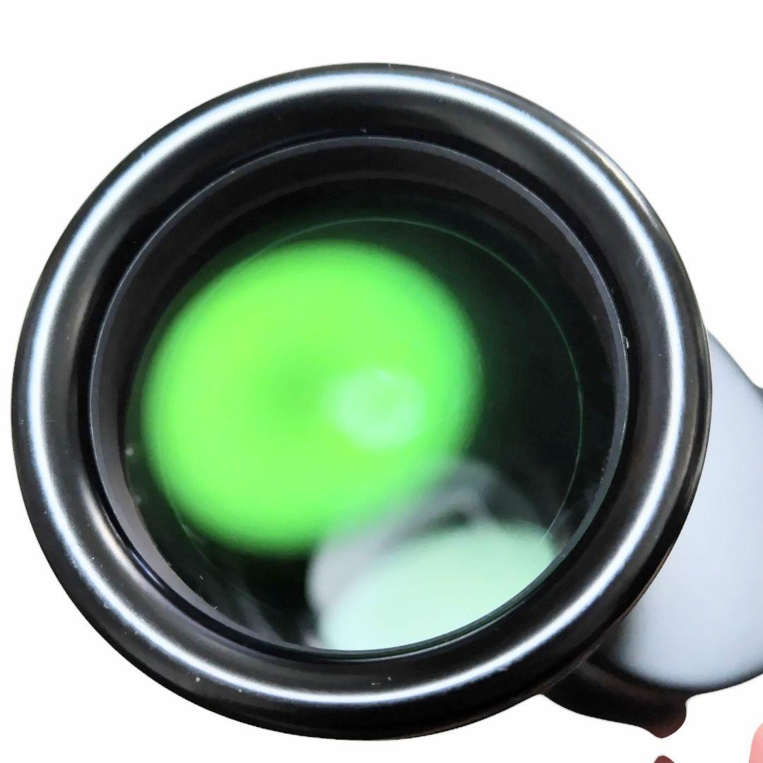 【美品】希少 ニコン Nikon 12x40 5.5° WF 双眼鏡