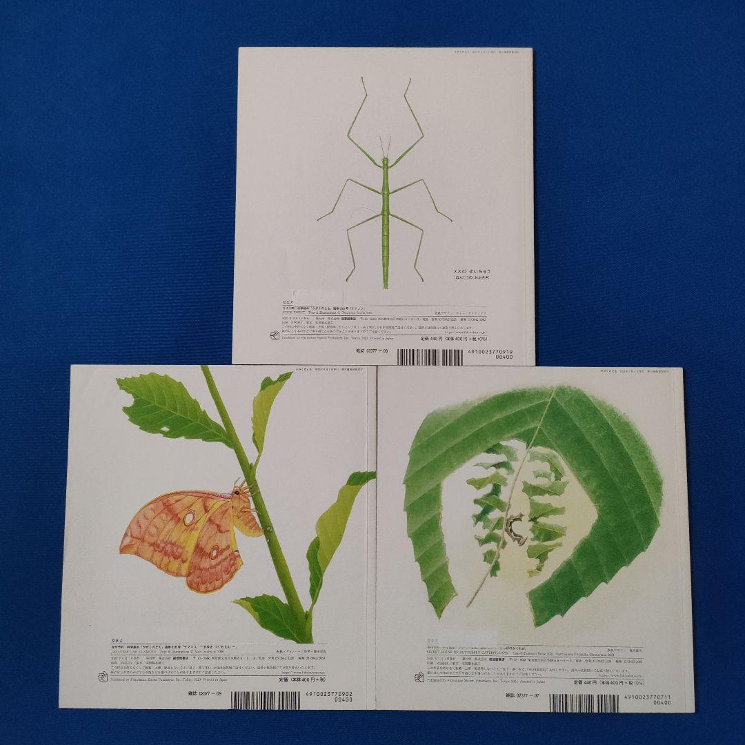かがくのとも　雑木林の虫たち　ヤママユ　ナナフシ　チョウの幼虫　福音館 かがくのとも 雑木林の虫たち ヤママユ ナナフシ チョウの幼虫