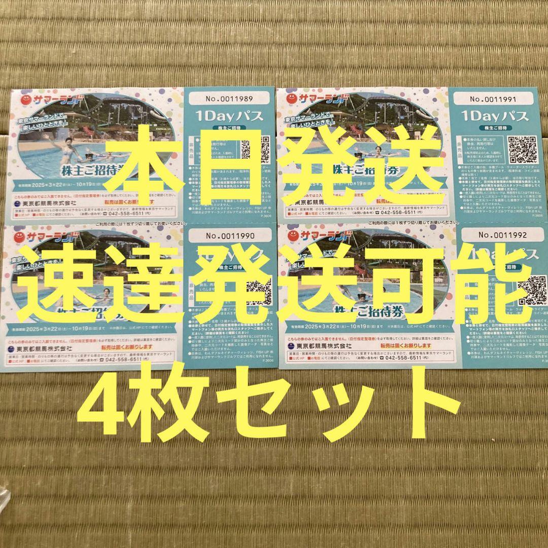 東京サマーランド 1Dayパス 4枚セット
