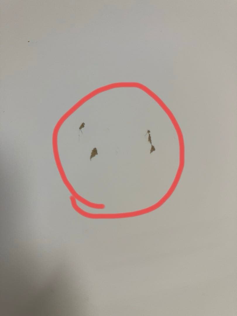 ホワイトチェスト‼︎NITORI