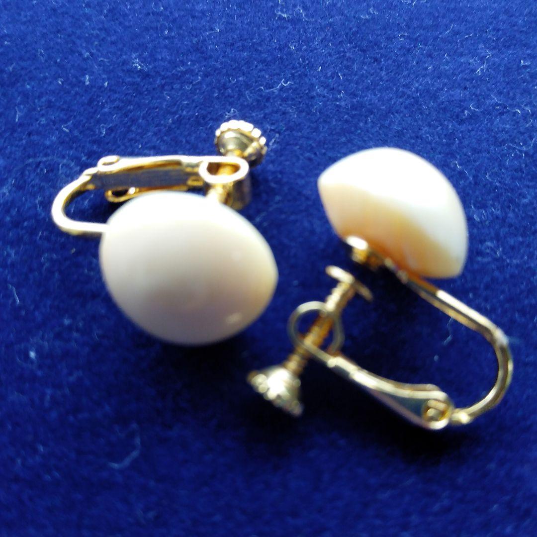 鯨歯 マッコウクジラ