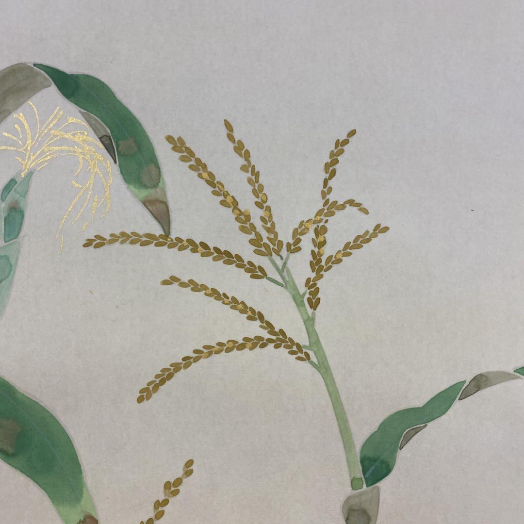美品 掛け軸 池田翠宝作「とうもろこし」共箱 夏掛け 美術年鑑掲載 美品 掛け軸 池田翠宝作「とうもろこし」共箱 夏掛け 美術年鑑