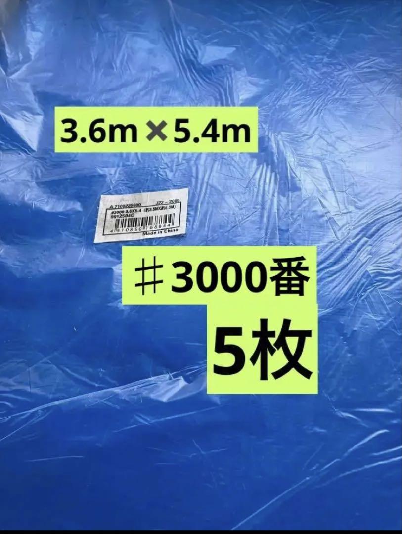 ブルーシート #3000 3.6m×5.4m 5枚