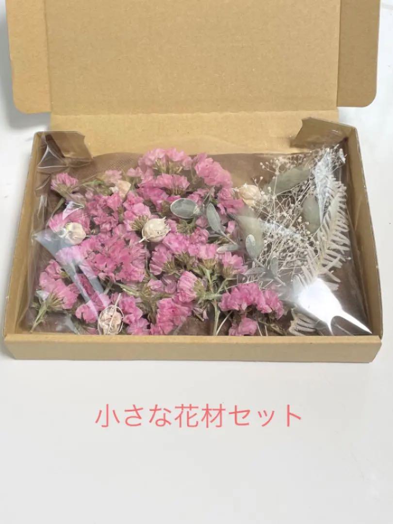 小さな花材セット フーセンポピー スターチス 20㎝×14.5㎝ ドライ 小さな花材セット フーセンポピー スターチス 20㎝×14.5㎝ ドライ