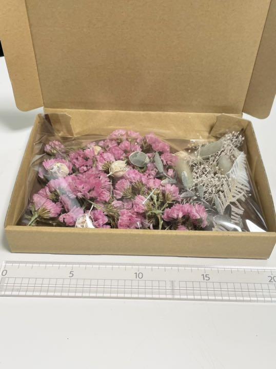 小さな花材セット フーセンポピー スターチス 20㎝×14.5㎝ ドライ 小さな花材セット フーセンポピー スターチス 20㎝×14.5㎝ ドライ