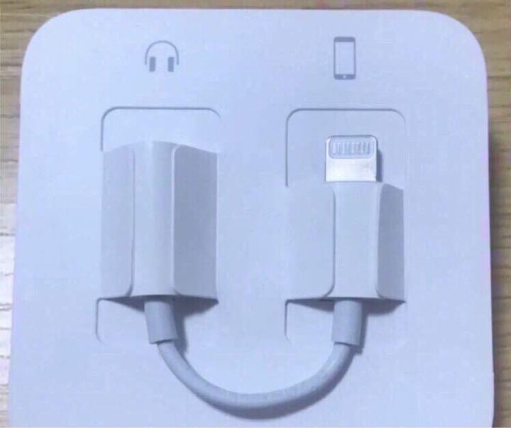iPhone イヤホン変換アダプタ 純正