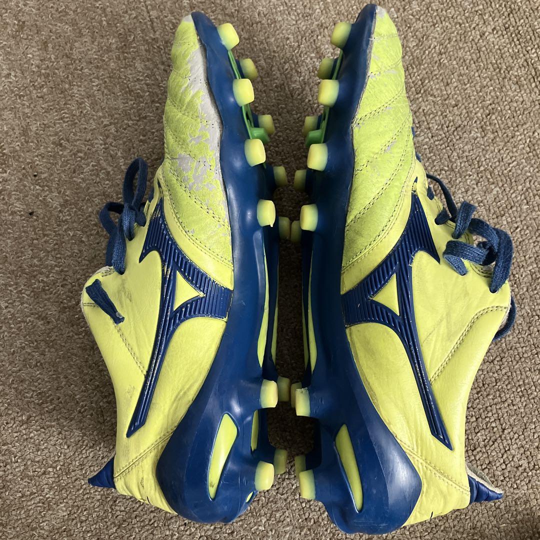 Morelia Neo2