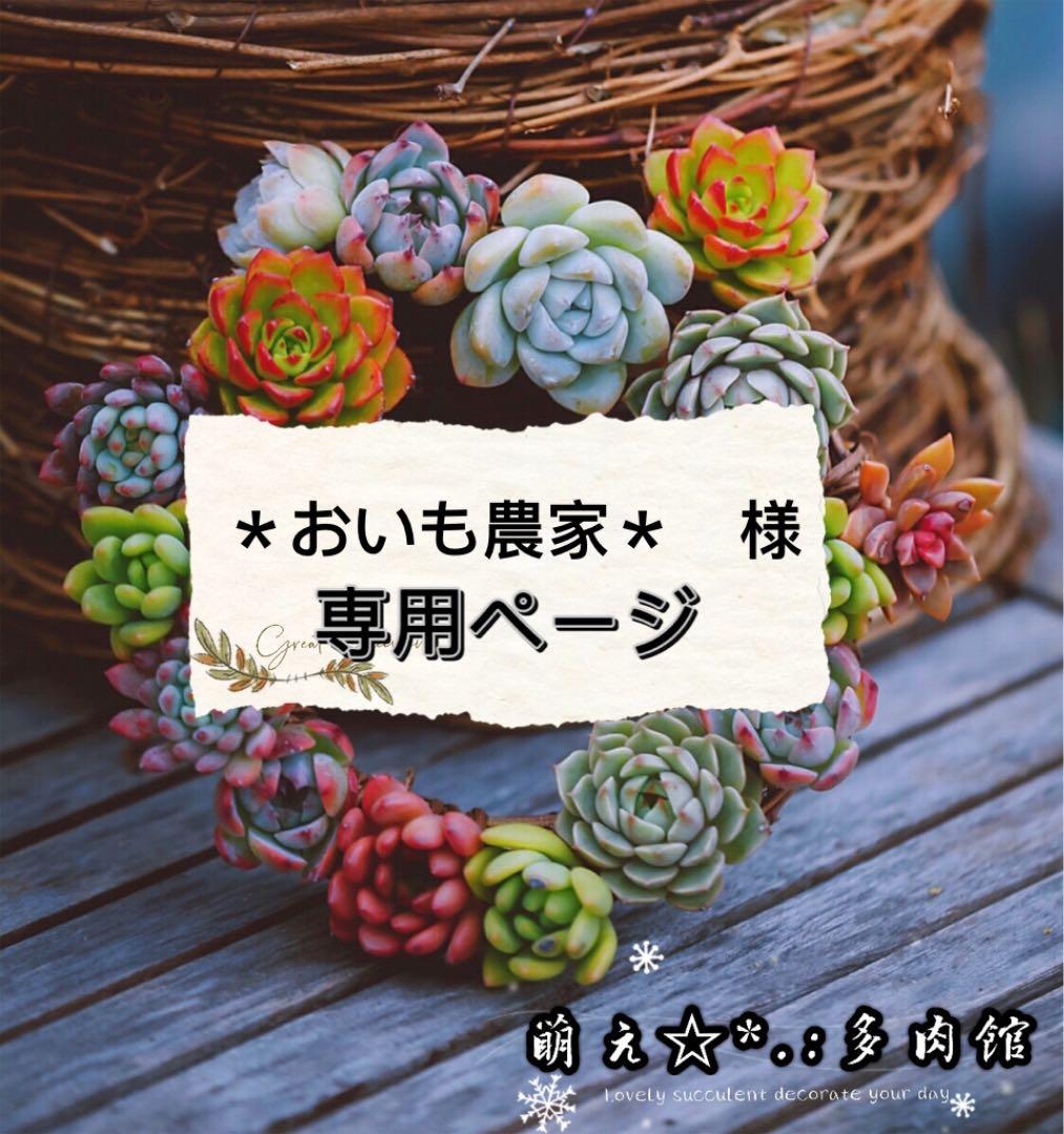 おいも農家* 様 専用ページ sariater-hotel.com