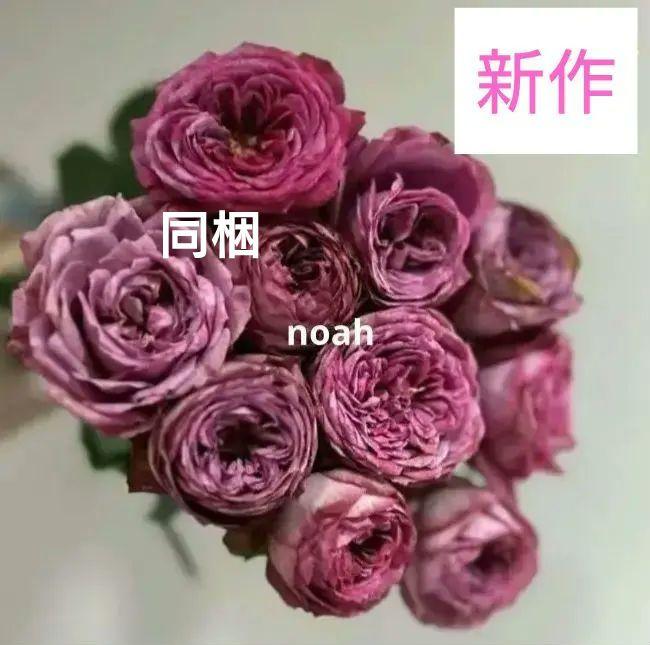 同梱専用 2880 花