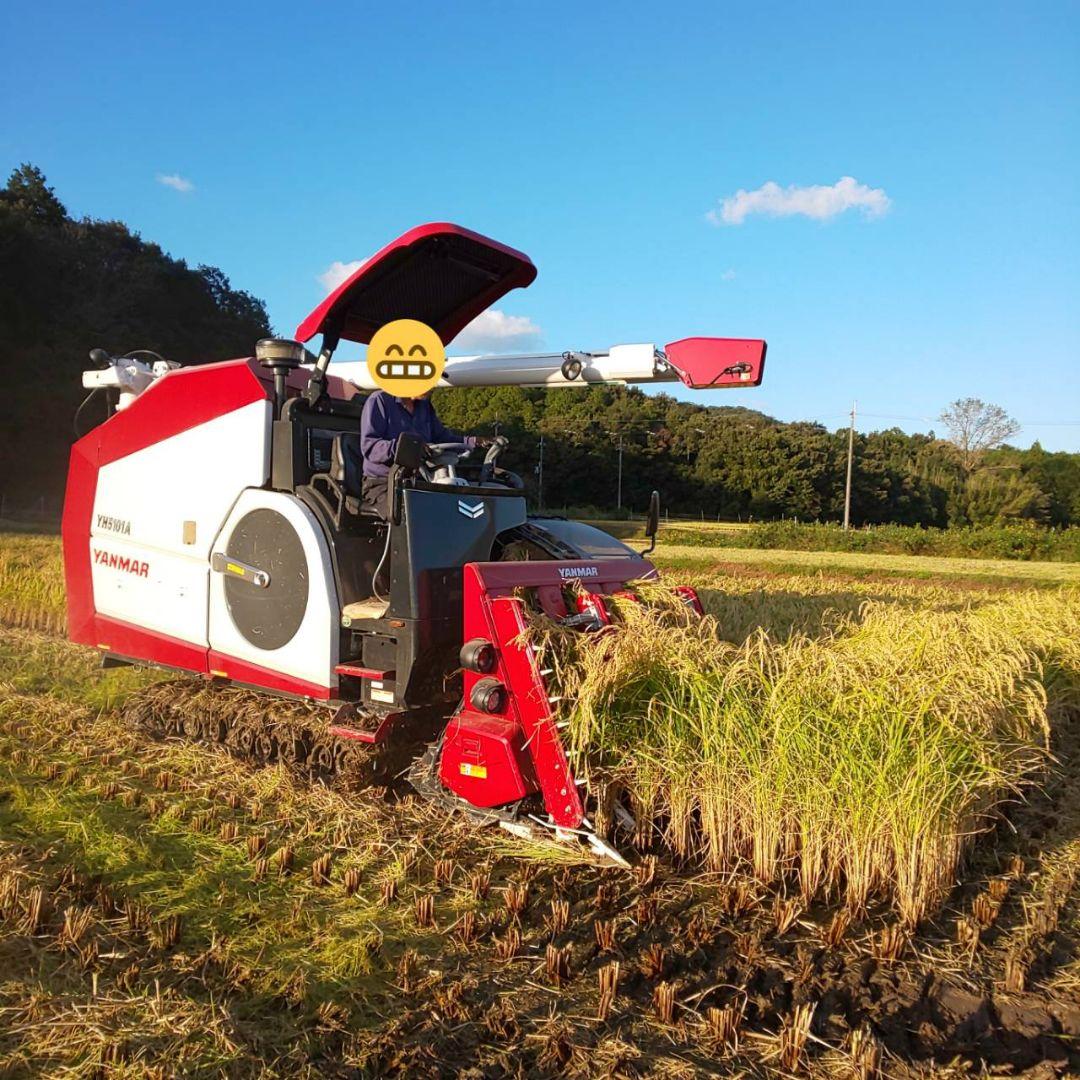 あおい様