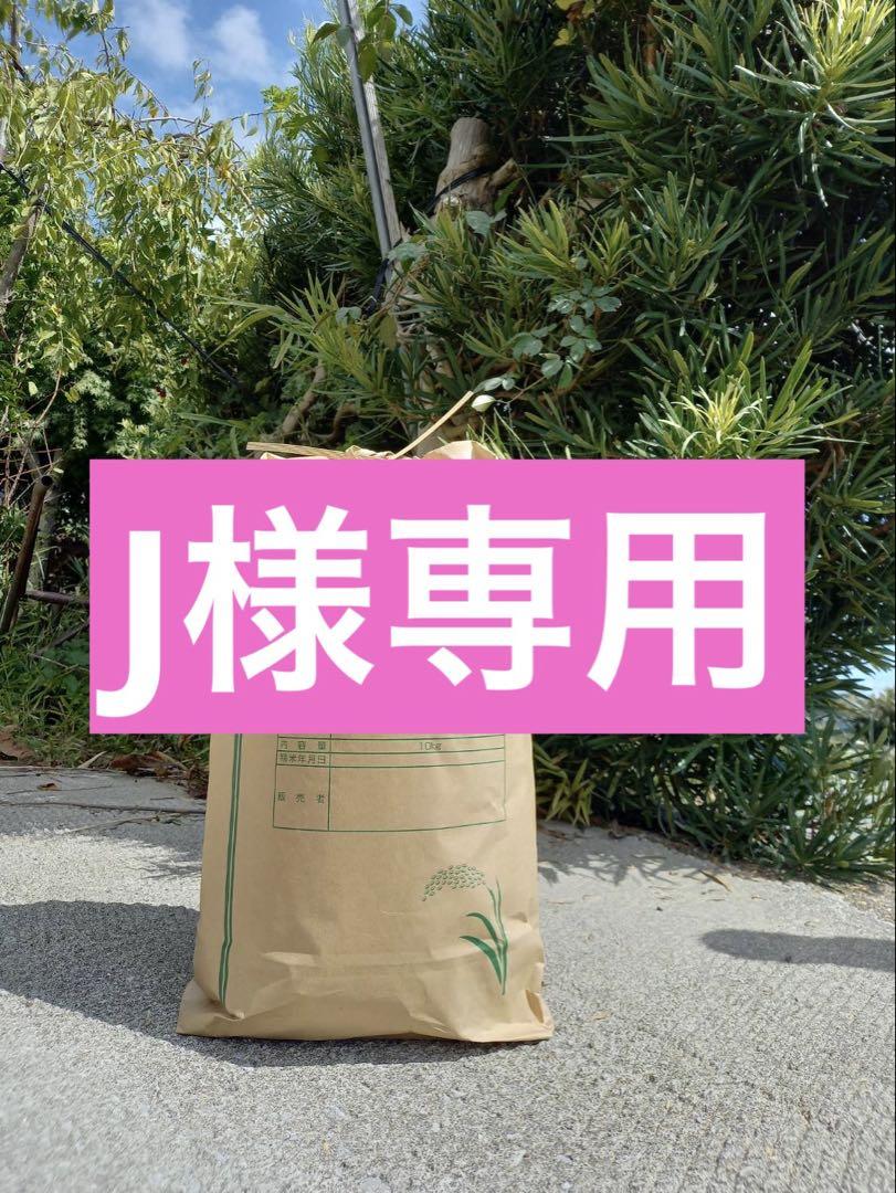 お米２４キロ