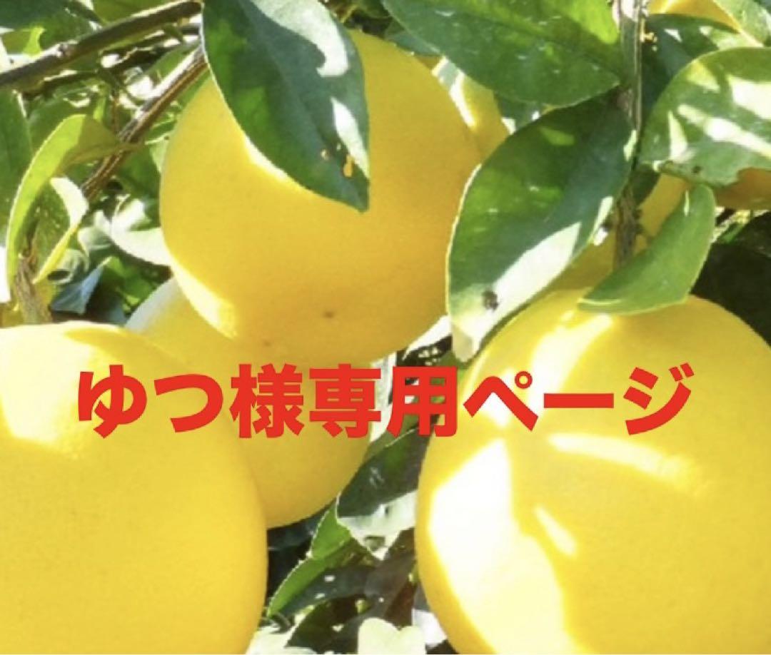 ゆつ様専用ページ 軸付きタペストリー1点＋交換用四季彩布6枚同梱発送