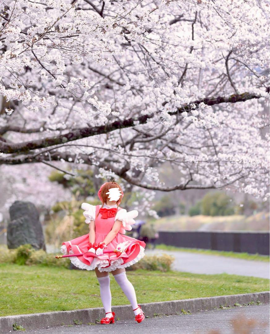 カードキャプターさくら コスプレ フルセット Lサイズ ウィッグ 羽付き