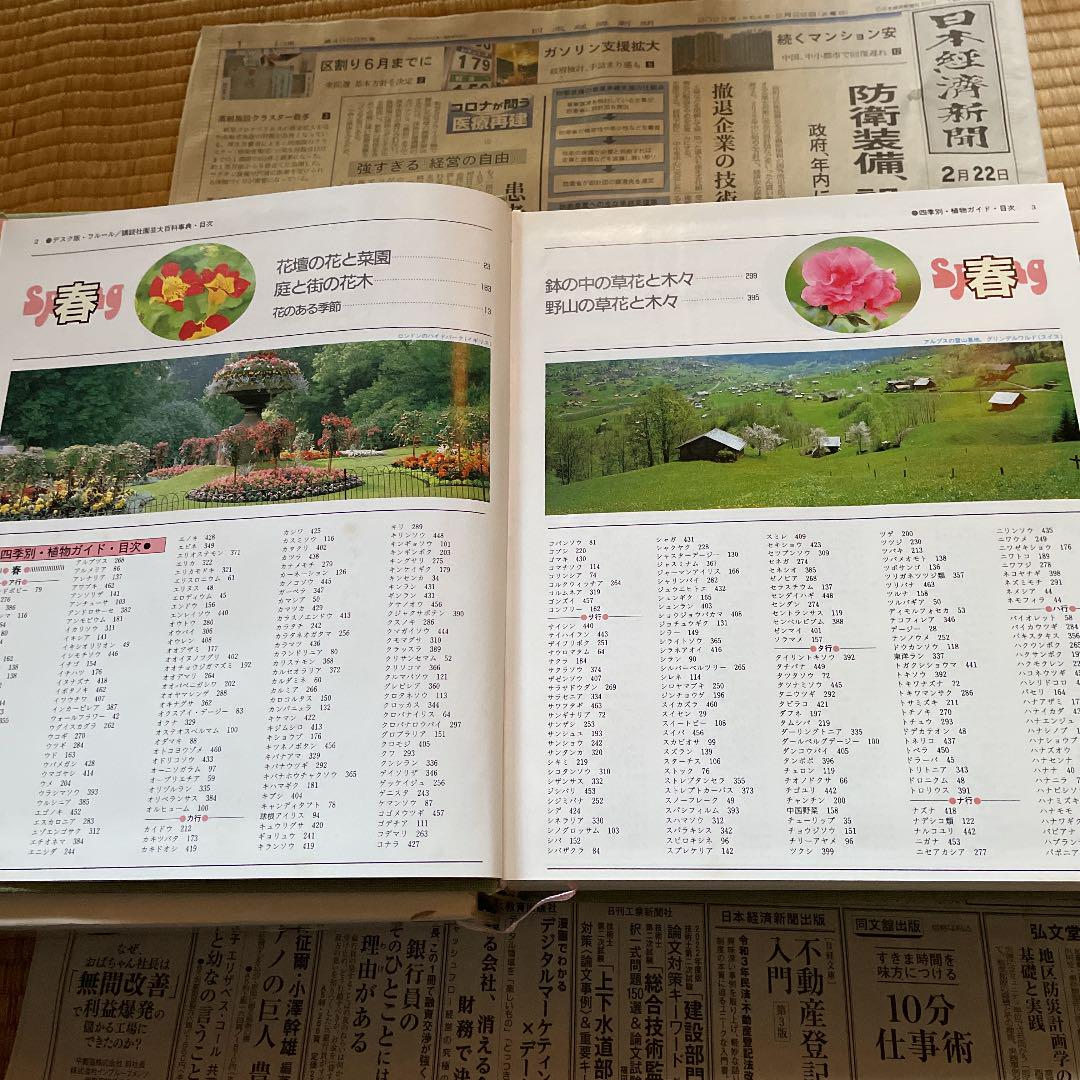 講談社 園芸大百科事典 デスク版・フルール