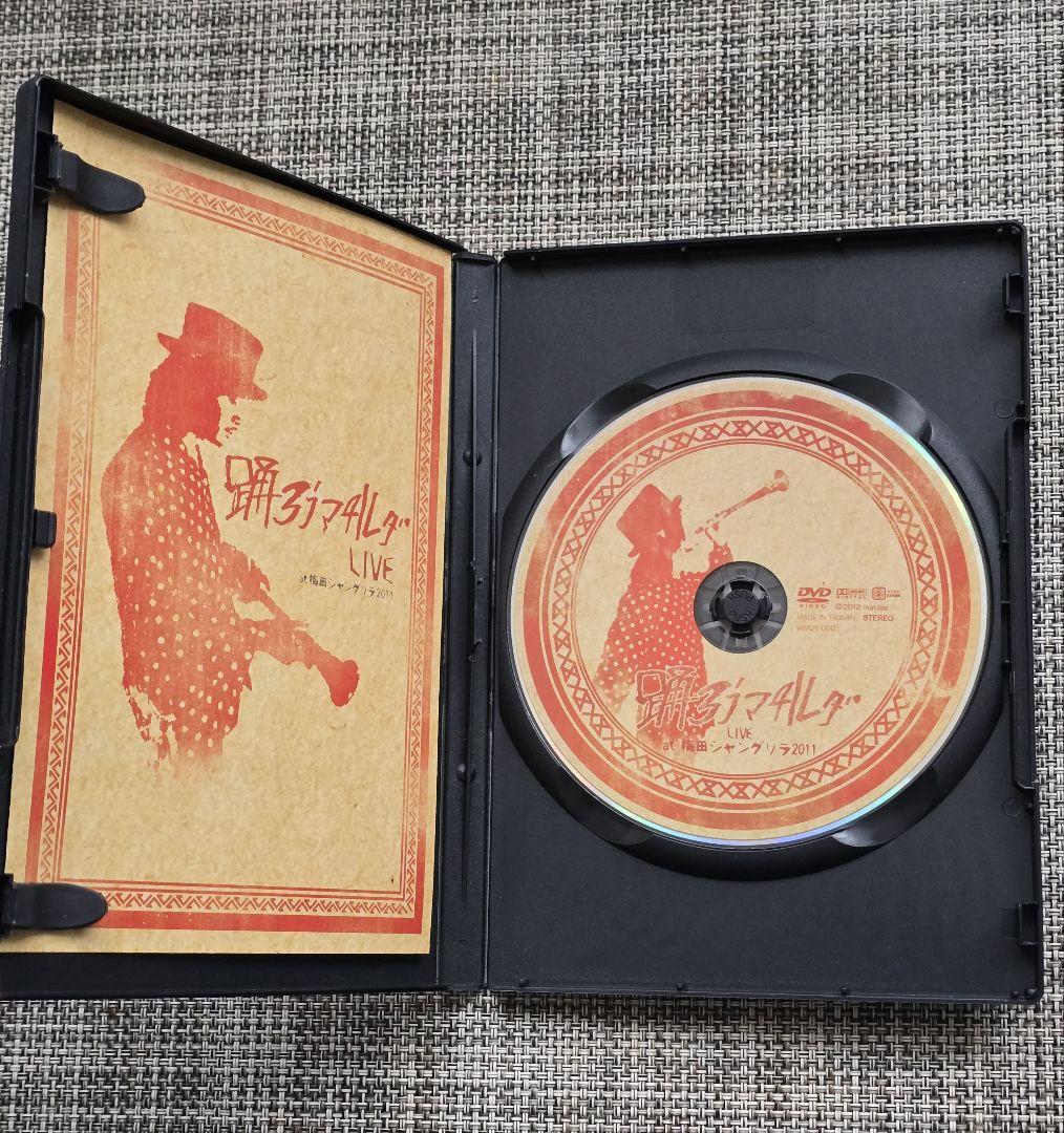 踊るマチルダ LIVE 2011 DVD　中古