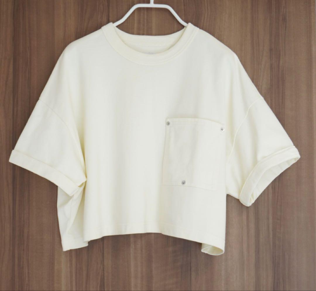 Bottega veneta クロップドスウェットTシャツ ボッテガヴェネタ
