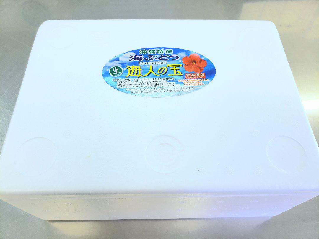 朝摘み直送 海ぶどう たっぷり2000g RCFG4-m70189057039 沖縄県産 茎無し 超歓迎在庫