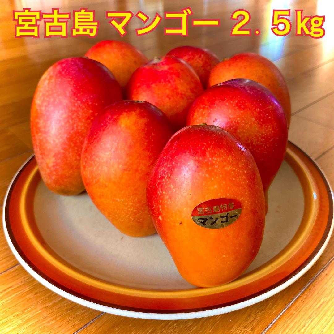 2.5宮古島産 マンゴー 2.5㎏