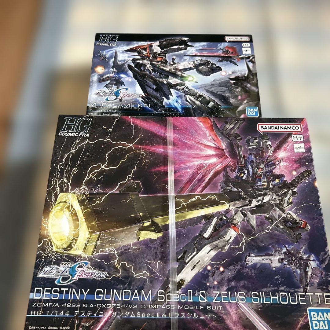 HG ディスティニーガンダムSpecⅡ&ゼウスシルエット　ムラサメ改セット