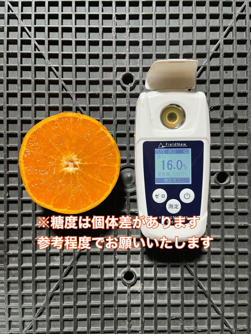 5 せとか10kg 家庭用