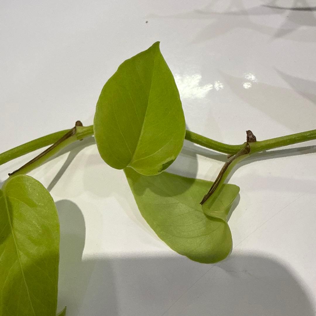 9275やや傷や汚れあり