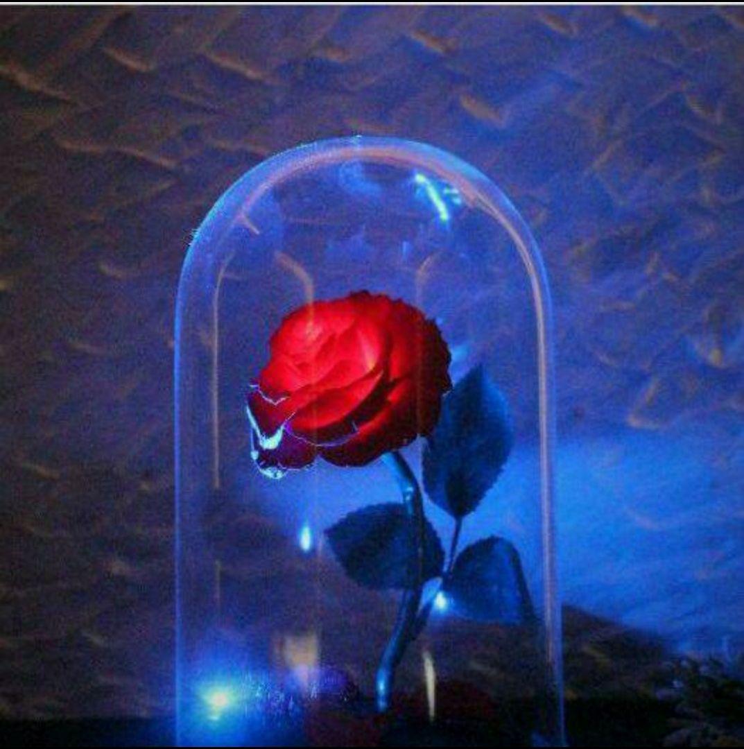 メール便送料無料対応可 スタンドライト おしゃれ 美女と野獣 ドライフラワー薔薇 フロアスタンド Www Ilistugo Com メール便送料無料対応可 スタンドライト おしゃれ 美女と野獣 ドライフラワー薔薇 フロアスタンド Www Ilistugo Com