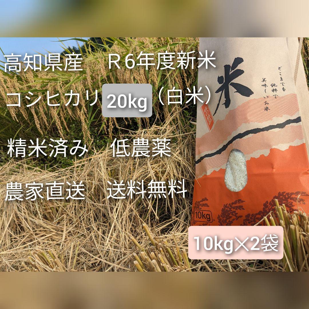miyurin様への専用出品です。おぼろづき20kg 米・雑穀・粉類