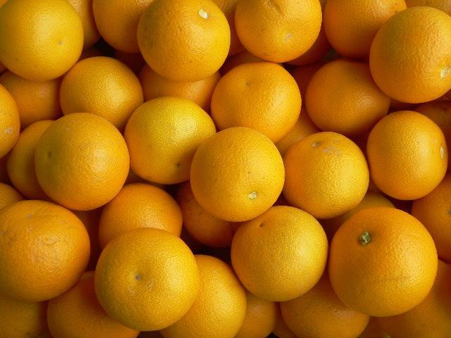 ラスト 4.8kg和歌山県産 はっさく 八朔 わけあり  減農薬