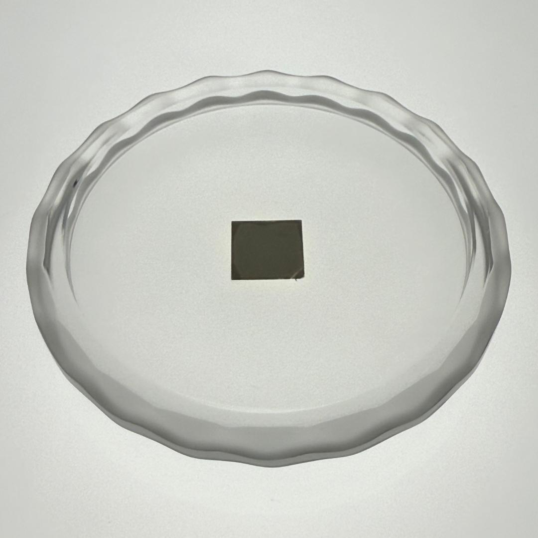 ルネ・ラリック カナール LALIQUE CANARD パウダーケース 小物入 ラリック カナール LALIQUE CANARD パウダーケース 小物入