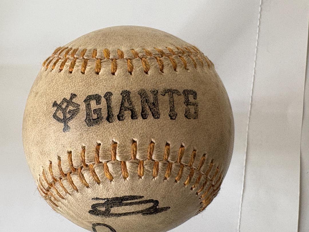 スペシャルオファ NPB プロ野球 公式球 王貞治 読売ジャイアンツ サインボール 記念グッズ