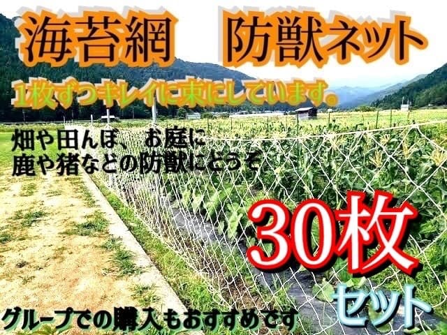★特価★海苔網★30枚★中古★害獣防止網★ ベランダネット★畑★