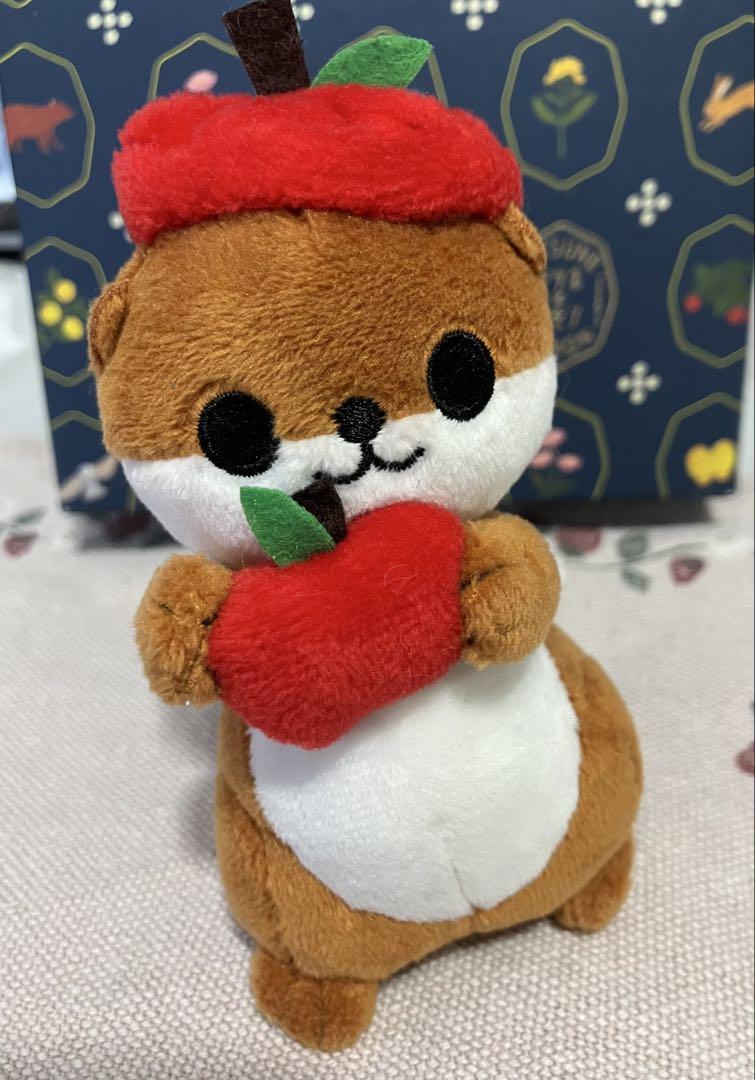 カワウソくん あるまど公式オンラインショップ / カワウソくん(LL)60cm 5個